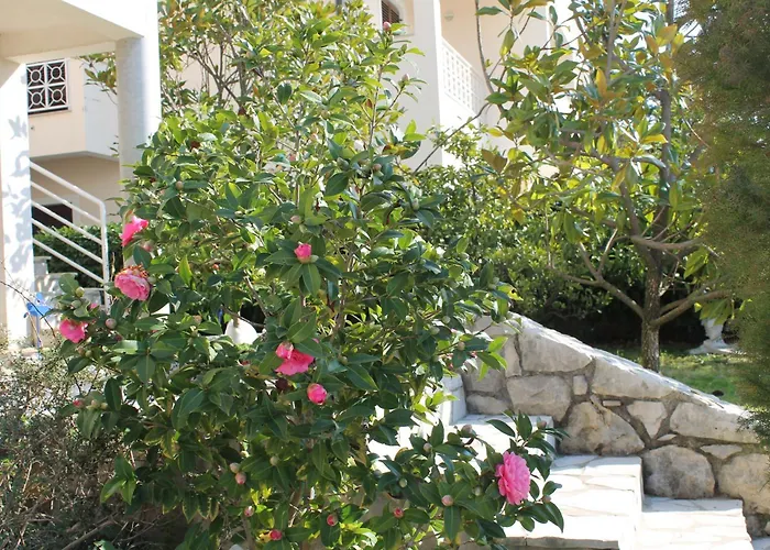 Apartments Vila Marica