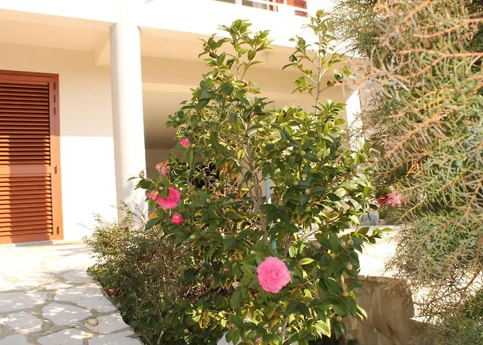 Apartments Vila Marica