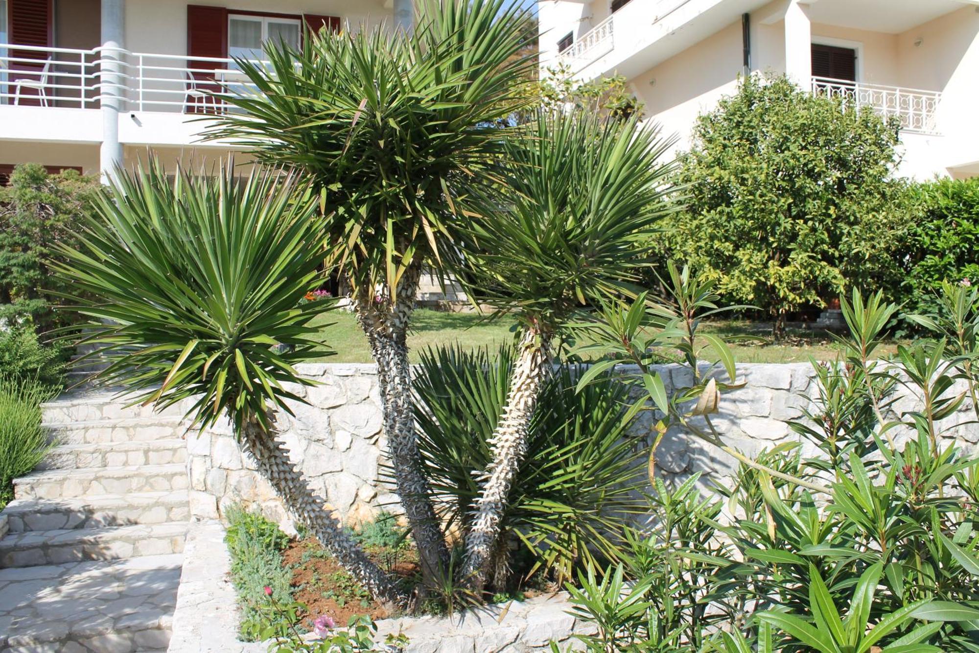 Apartament Marica Rabac